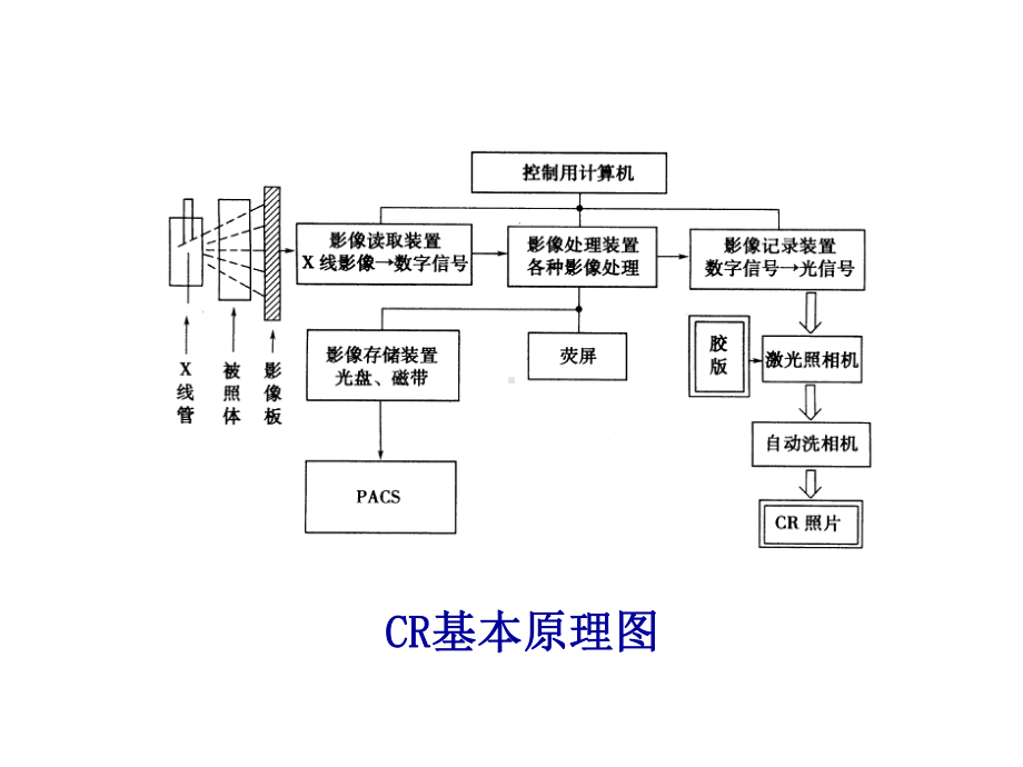 数字X线检查步骤课件.ppt_第3页