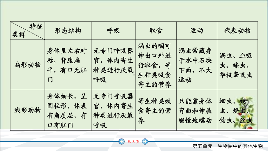 人教版七年级上册生物知识点精讲课件动物的主要类群(同名1521).pptx_第3页