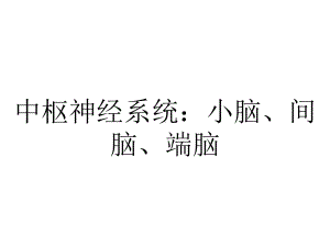 中枢神经系统：小脑、间脑、端脑.ppt