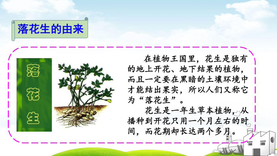 落花生教学课件2.pptx_第2页