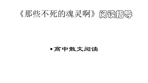 那些不死的魂灵啊课件.pptx