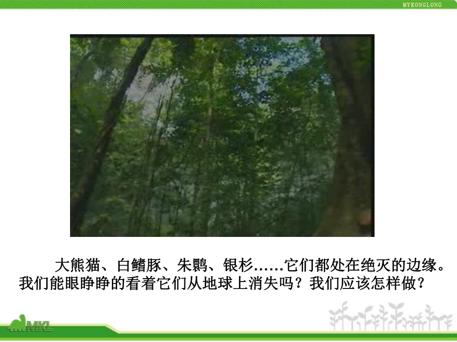 尝试对生物进行分类公开课一等奖课件.ppt_第1页