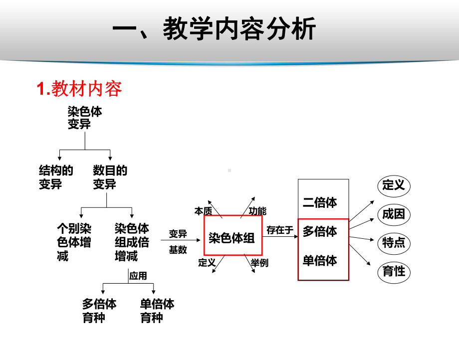 概念教学比赛课件：多倍体和单倍体课件.ppt_第3页