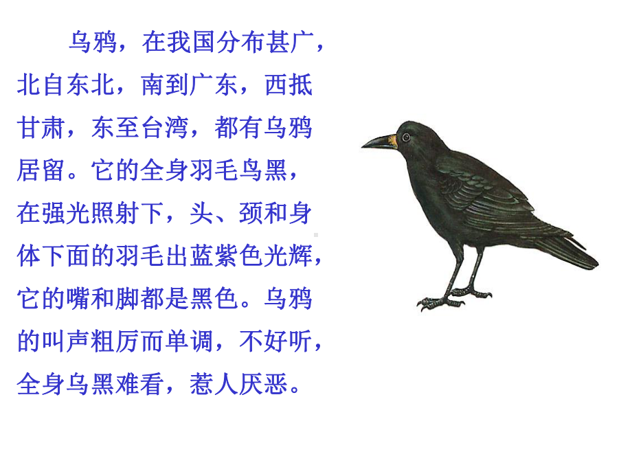 苏教版语文二上《狐狸和乌鸦》课件.ppt_第3页