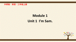 外研版英语三年级上册M1U1-I-am-sam课件.pptx--（课件中不含音视频）