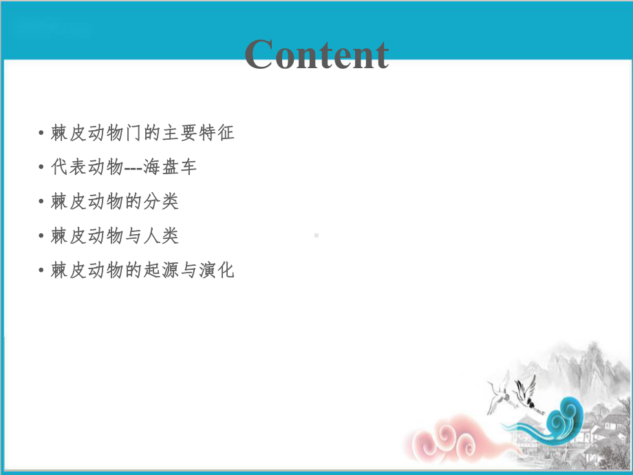 普通动物学课件第十三章棘皮动物门.ppt_第2页