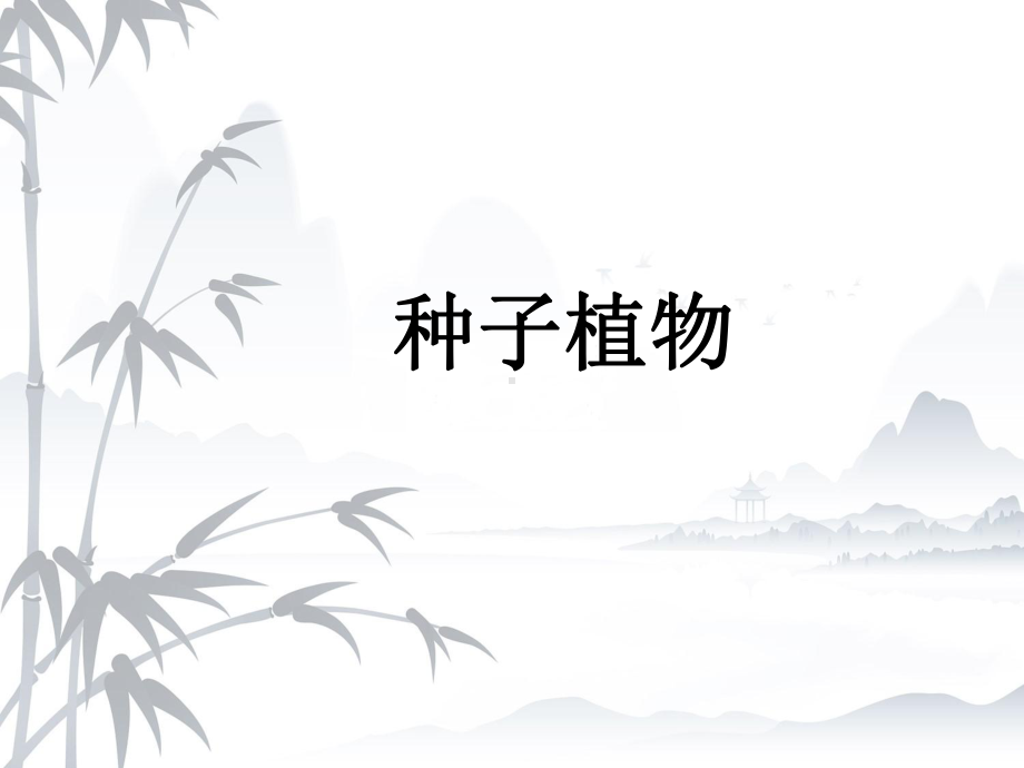 种子植物优秀课件.ppt_第3页