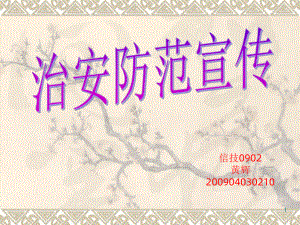 《治安防范》课件2.ppt