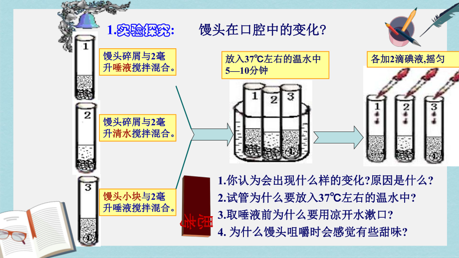 七年级生物下册人教版生物总复习课件1.ppt_第2页