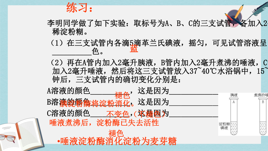 七年级生物下册人教版生物总复习课件1.ppt_第3页