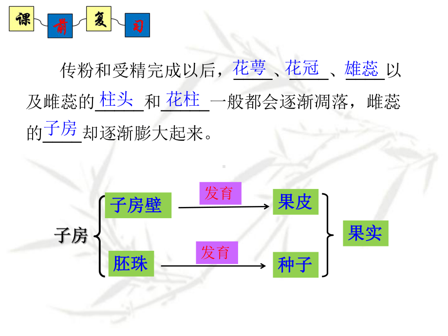 济南版生物八年级上册《种子的萌发》课件.ppt_第1页