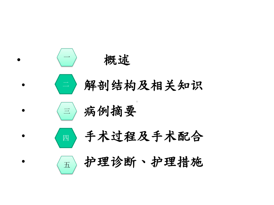 再次子宫下段剖宫产术手术室护理查房.pptx_第2页