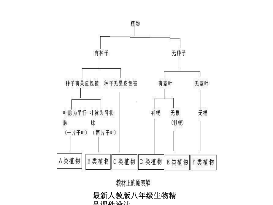 人教版八年级上册生物课件第一章根据生物的特征进行分类2第二节从种到界（备份）.ppt_第3页