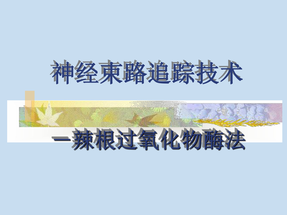 神经生物学实验课件.ppt_第1页