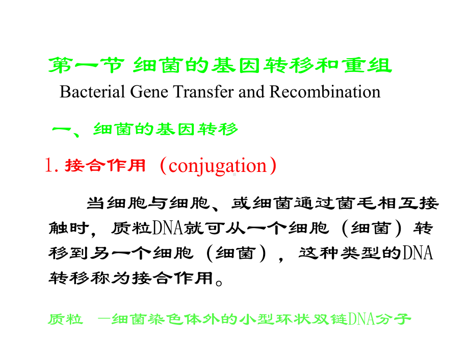 第章基因工程课件.ppt_第3页