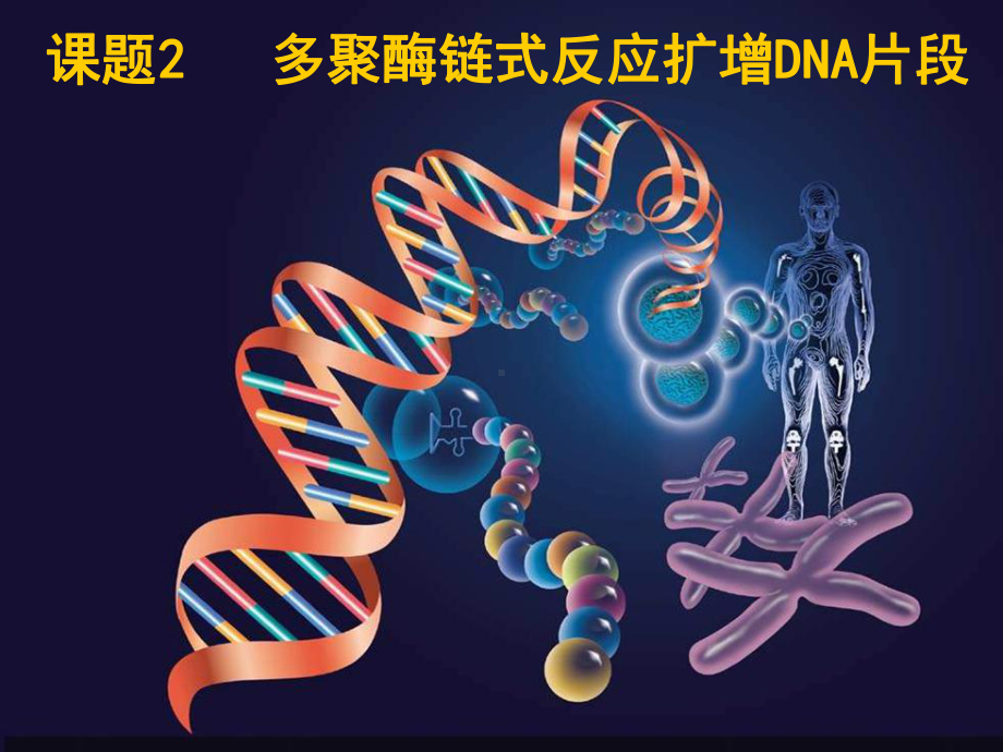 多聚酶链式反应扩增DNA片段课件(新人教版选修1).ppt_第1页