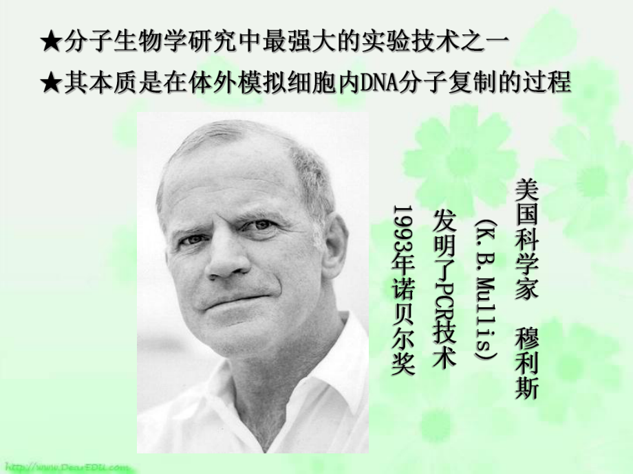 多聚酶链式反应扩增DNA片段课件(新人教版选修1).ppt_第3页