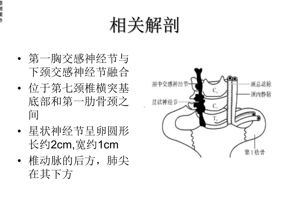 星状神经节阻滞术课件.ppt_第3页