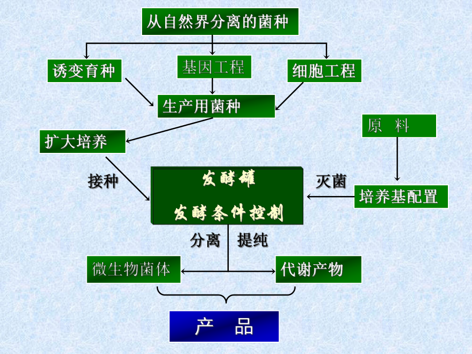 发酵机械与设备培训课件.pptx_第2页