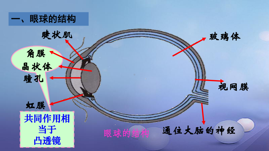 沪科版八年级物理上册：46《神奇的眼睛》课件.ppt_第2页