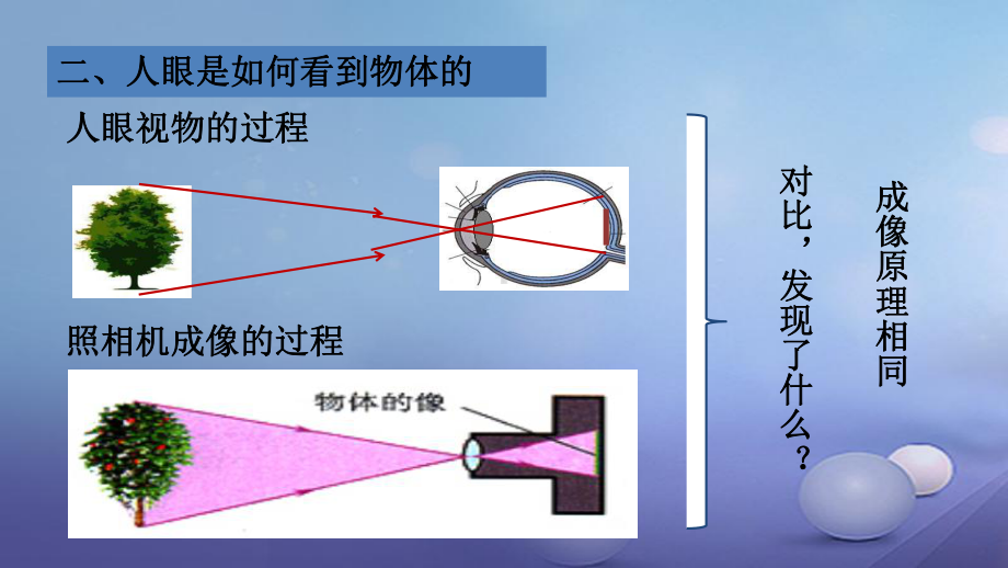 沪科版八年级物理上册：46《神奇的眼睛》课件.ppt_第3页