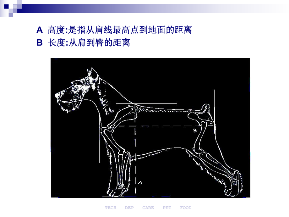 《宠物知识培训》课件135p精选.ppt_第3页