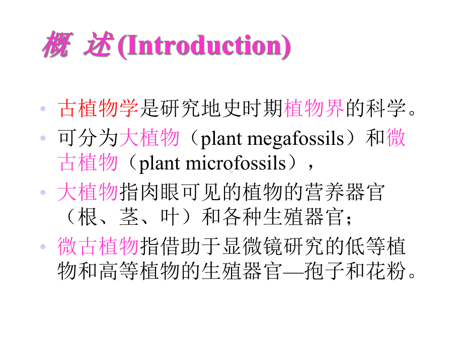 古生物学-植物.ppt_第2页