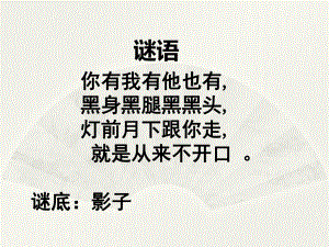 《百变影子》课件.ppt