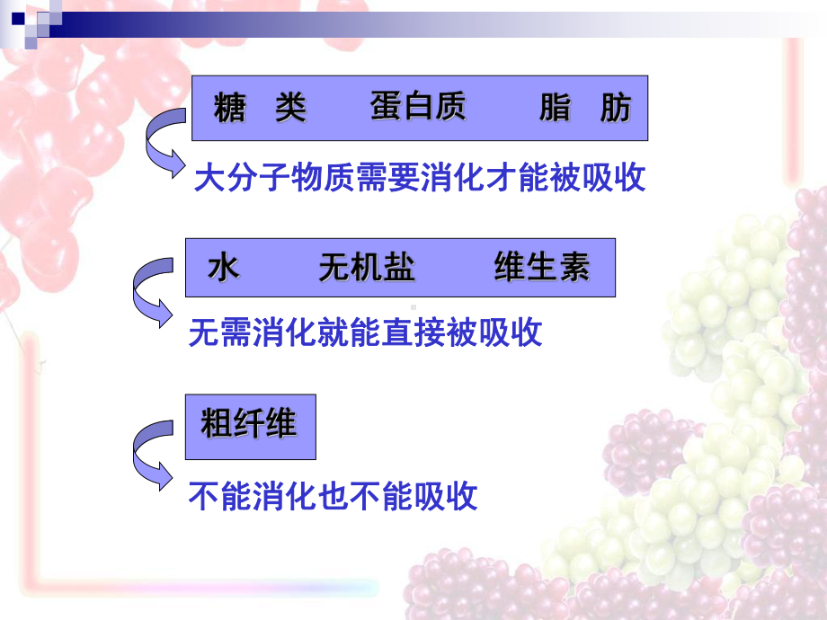 浙教版九年级上册科学42食物的消化与吸收课件.ppt_第2页