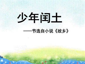 《少年闰土》教学课件公开课获奖课件.ppt