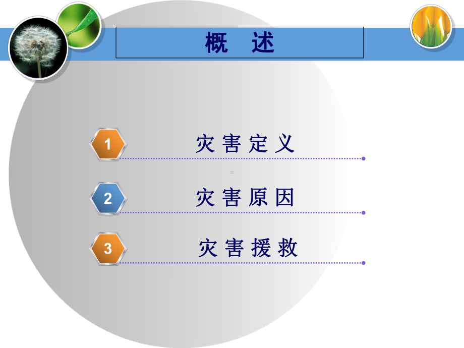 灾害事故急救课件.ppt_第3页