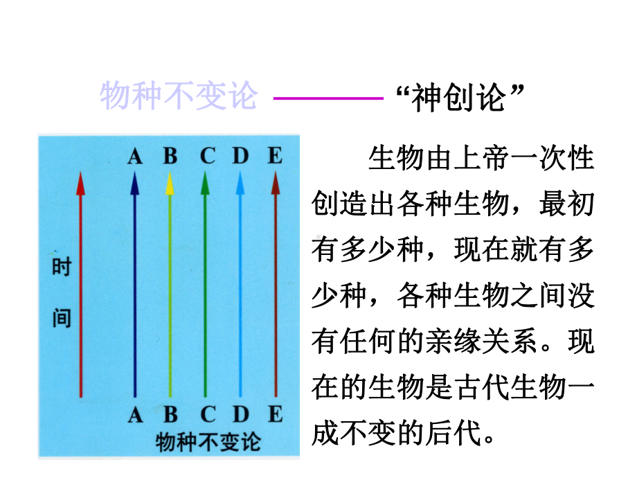 九年级科学下册14生物的进化课件-2.ppt_第3页