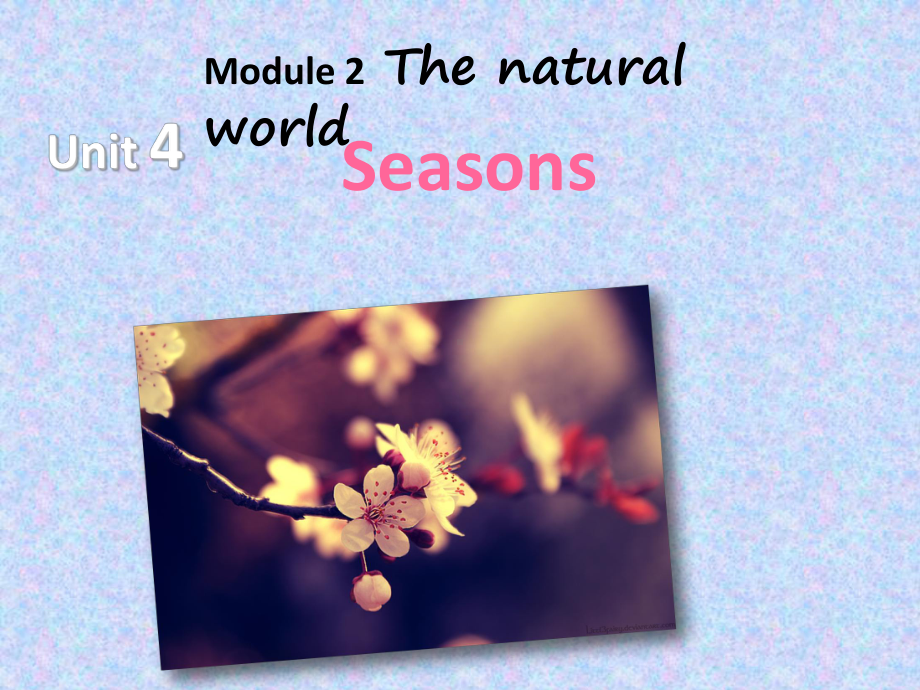 牛津深圳版七年级英语上册Unit4Seasons课件1.ppt--（课件中不含音视频）_第1页