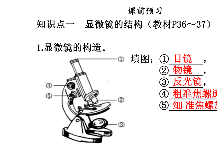 七年级生物上册第二单元第一章第一节练习使用显微镜课件新版新人教版.ppt_第3页