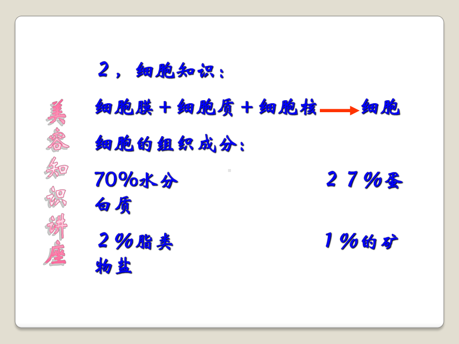 基础美容课件.ppt_第3页