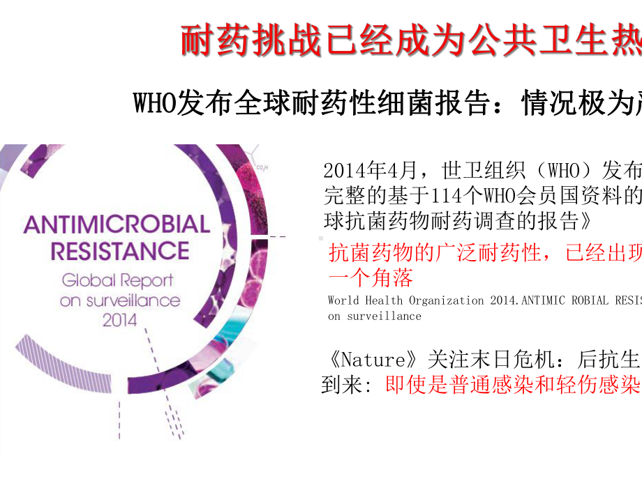 在耐药挑战下多黏菌素B的应用价值.ppt_第3页