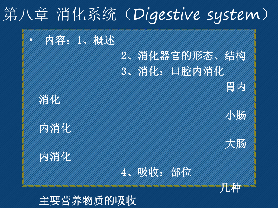 人体解剖生理学消化系统课件医学.ppt_第2页