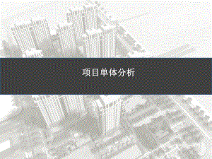 项目单体分析(超全面).ppt