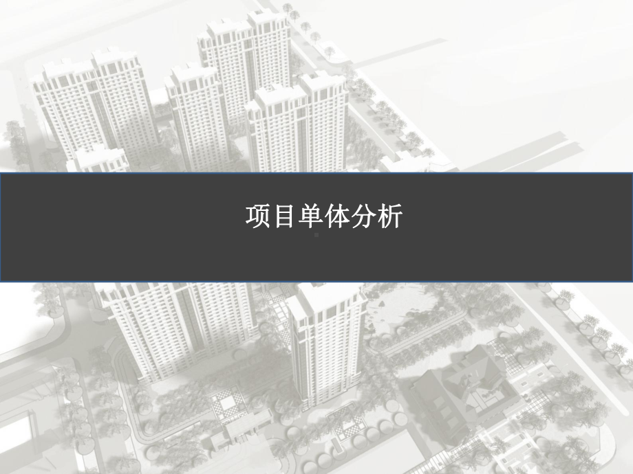 项目单体分析(超全面).ppt_第1页