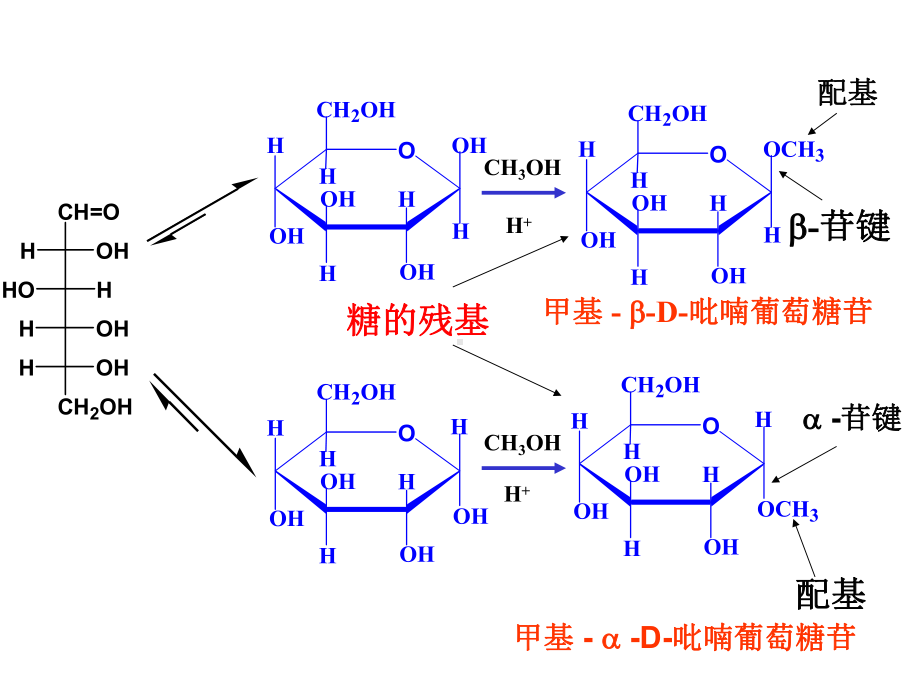 有机化学糖类课件.ppt_第2页