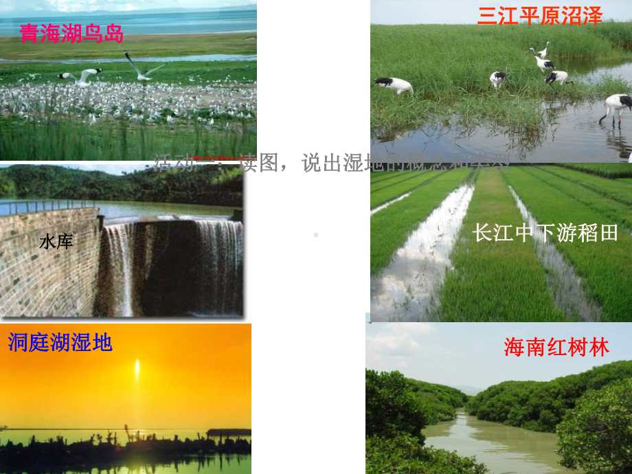 高一地理湿地资源的开发与保护课件.ppt_第2页