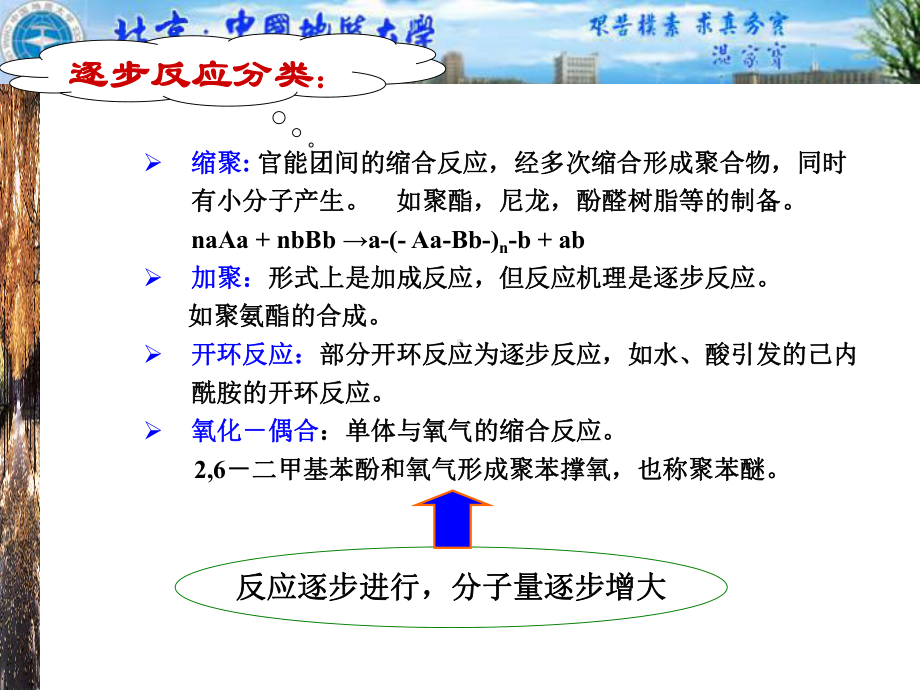 高分子化学课件.ppt_第3页