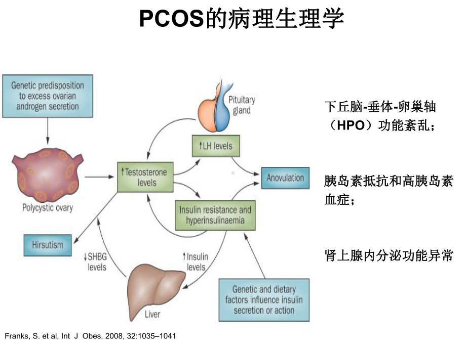 青春期多囊卵巢综合征诊治共识优秀课件.ppt_第3页