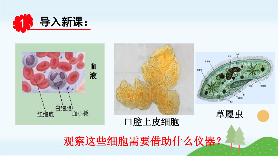 高中生物《第2节细胞的多样性和统一性》课件(共三套).ppt_第3页