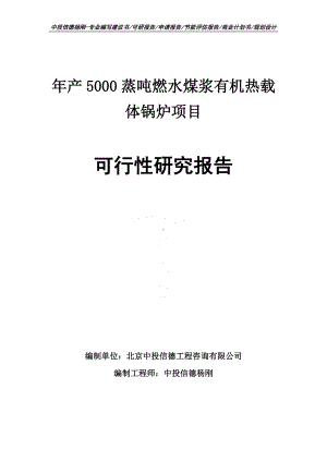 年产5000蒸吨燃水煤浆有机热载体锅炉可行性研究报告.doc