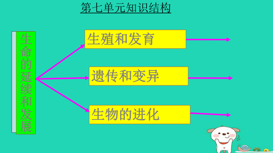 新人教版八年级生物下册复习课件1.ppt_第2页