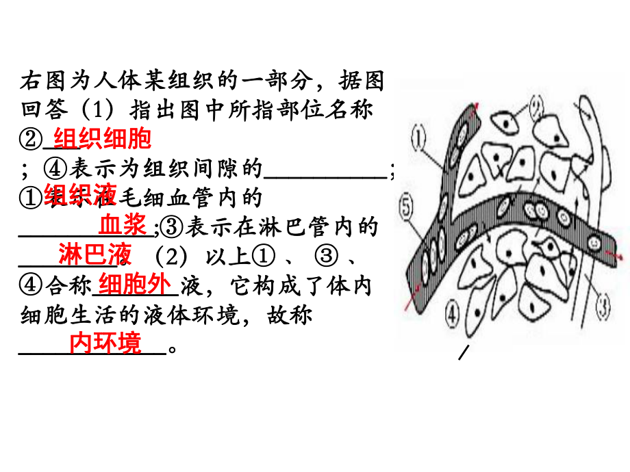 高中生物必修三《内环境稳态的重要性》课件.ppt_第2页