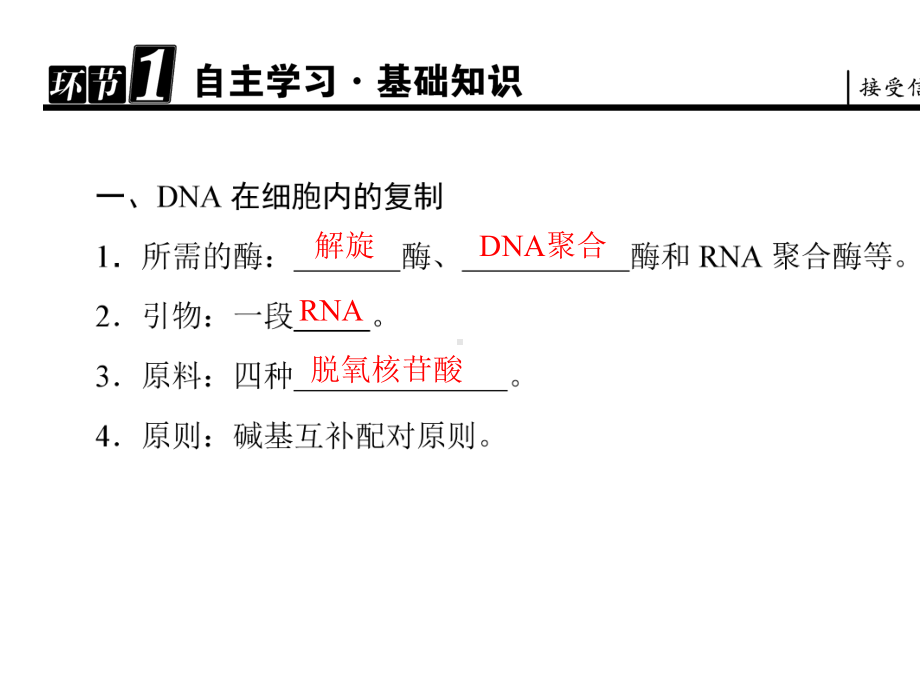 中图版高中生物选修一62《DNA片段的扩增-PCR技术》课件.ppt_第2页