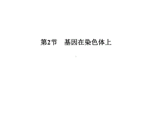 高中生物必修2基因在染色体上课件.ppt