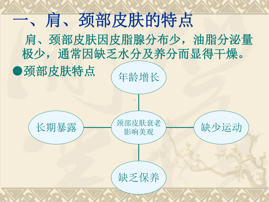 《肩、颈、手部皮肤护理》课件2.ppt_第3页